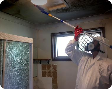 Mould removal
